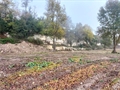 Terrain à bâtir à la vente